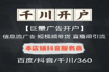 解析某某SEM服务公司的广告投放策略与效果评估